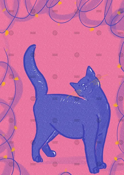 Slider Image 2