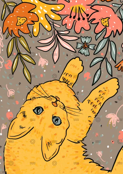 Slider Image 2