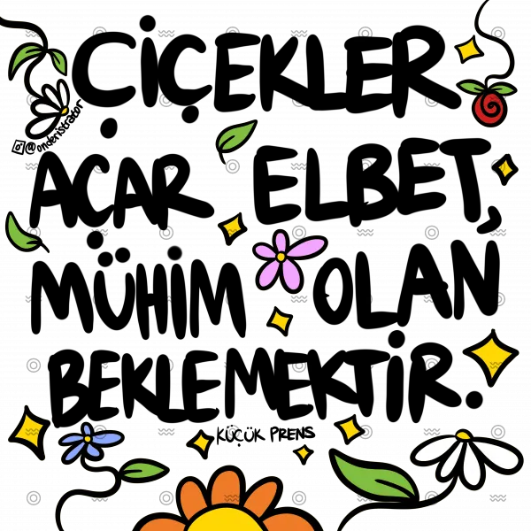Slider Image 2