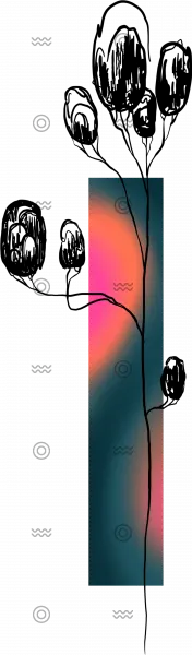 Slider Image 2