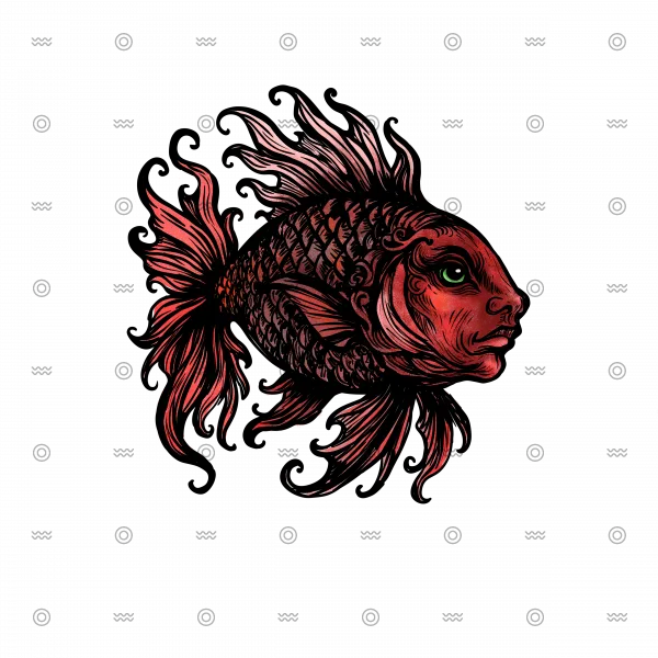 Slider Image 3