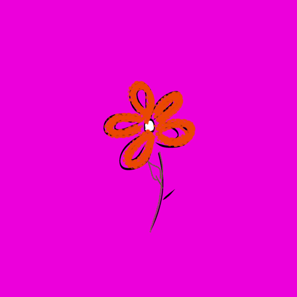 Slider Image 3