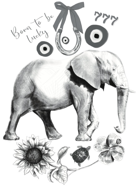 Slider Image 2