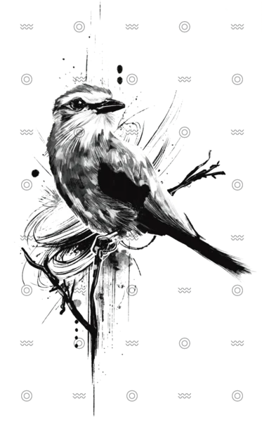 Slider Image 2