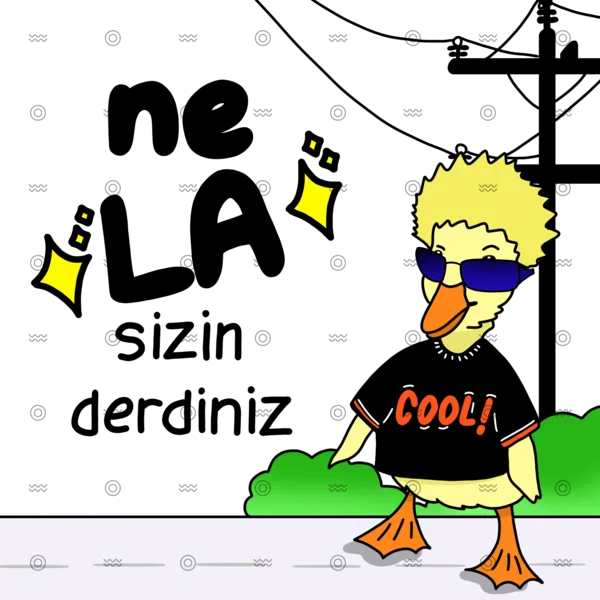 Slider Image 3
