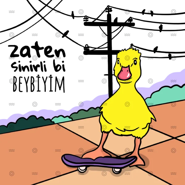 Slider Image 3