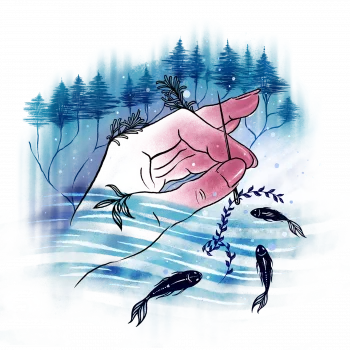 Slider Image 2