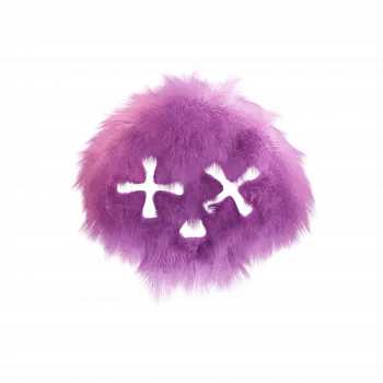 Slider Image 2