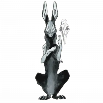 Slider Image 4