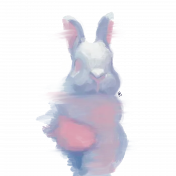 Slider Image 4