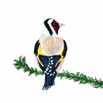 Slider Image 3