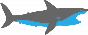 Slider Image 5