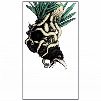 Slider Image 3