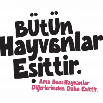 Slider Image 3