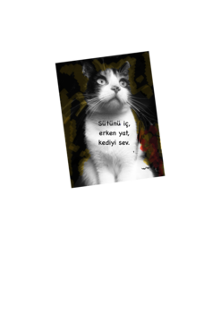 Slider Image 3