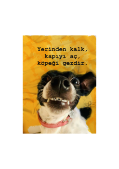 Slider Image 3