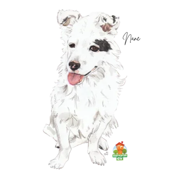 Nane Ürün Görseli