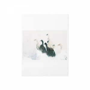 KAZLAR 3 Poster Ürün Görseli