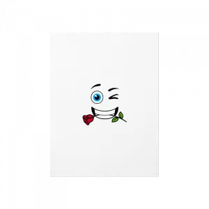 Mr. Romantic Poster Ürün Görseli