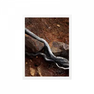 Laden Kökleri ve Taş - Büyükada Poster Ürün Görseli