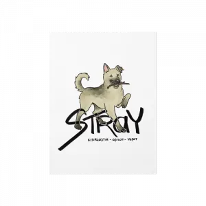Stray Poster Ürün Görseli