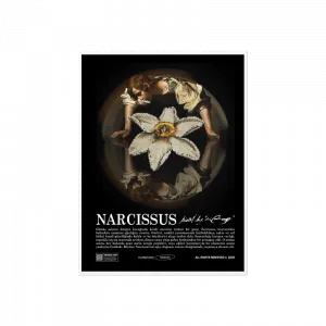 NARCISSUS Poster Ürün Görseli