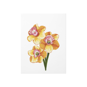 Sarı cicekler Poster Ürün Görseli