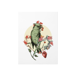 Birdy Poster Ürün Görseli