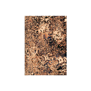 actually they're after us II Kanvas Defter Ürün Görseli