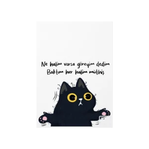 Müthiş  Poster Ürün Görseli