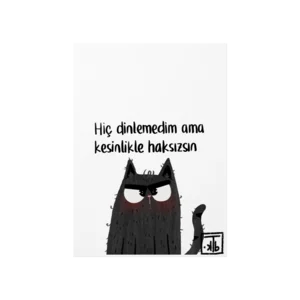 Haksızsın Poster Ürün Görseli