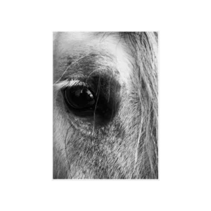 Soul of the Horse Poster Ürün Görseli