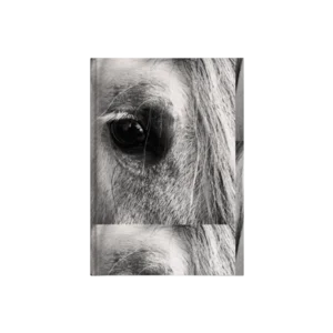 Soul of the Horse Kanvas Defter Ürün Görseli