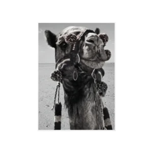 Master of the Sands Poster Ürün Görseli