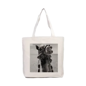 Master of the Sands Kanvas Çanta Ürün Görseli