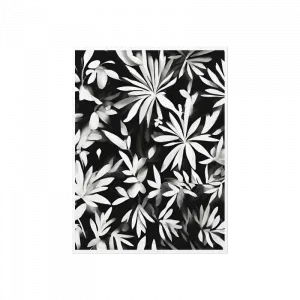 Siyah ve Beyaz Doğa Poster Ürün Görseli