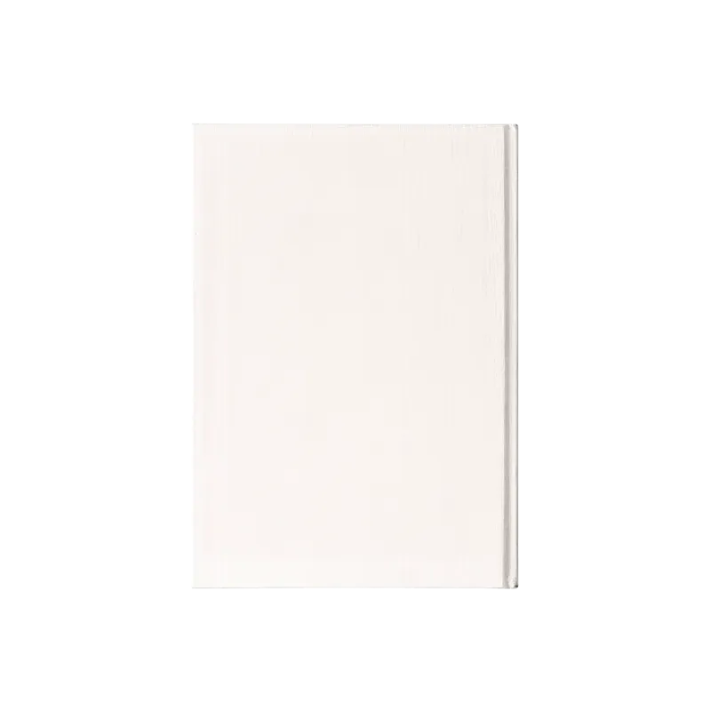 Slider Image 2