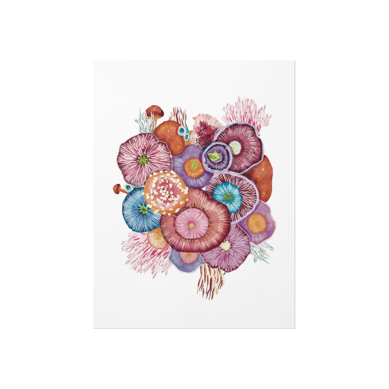 Slider Image 1