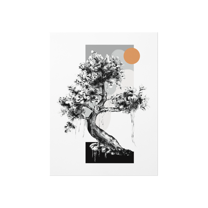 Slider Image 1