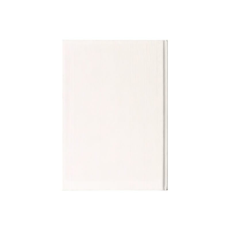 Slider Image 2