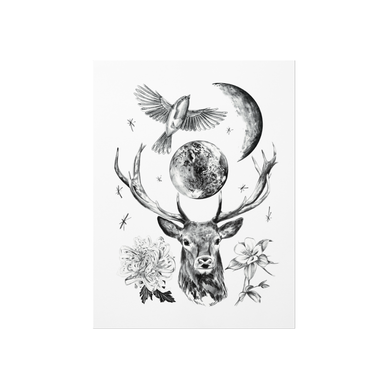 Slider Image 1