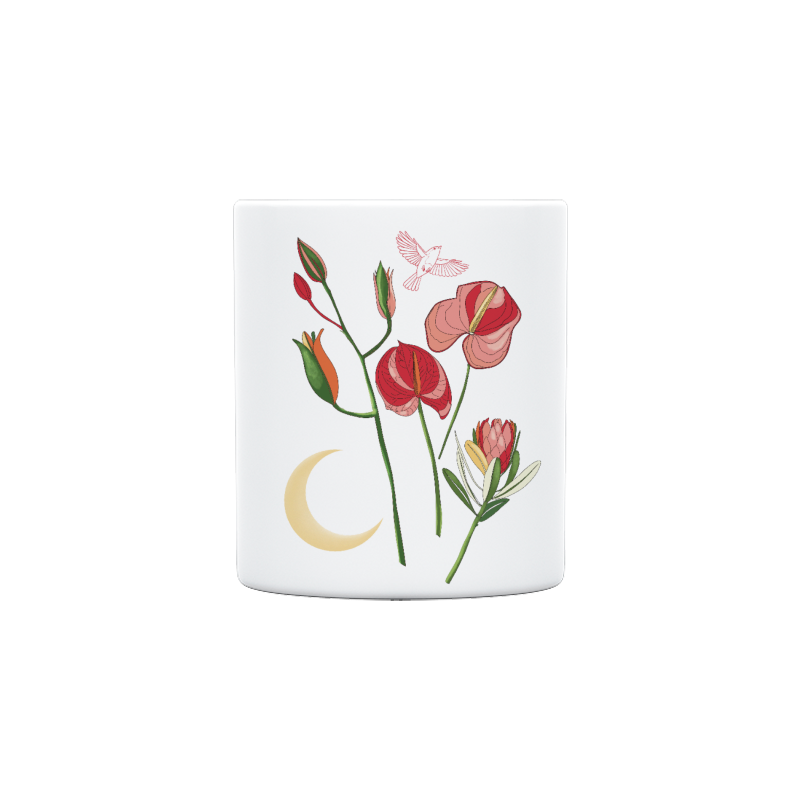 Slider Image 2