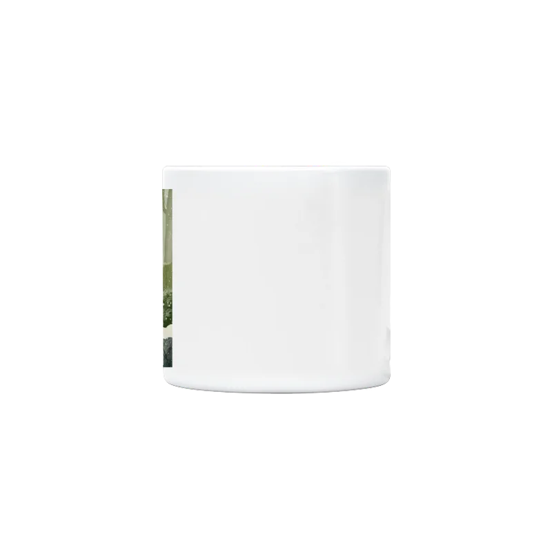 Slider Image 2
