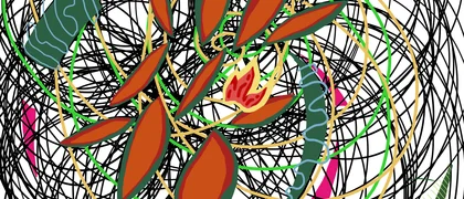shop's cover image