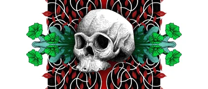 shop's cover image